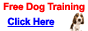 20% Off Select Items at TrainPetDog.com Promo Codes